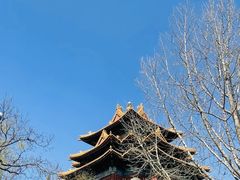 -四季民福烤鸭店(故宫店)