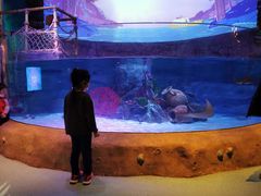 -沈阳海洋探索中心