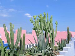 -漳州滨海火山岛自然生态风景区