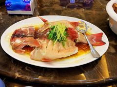 清蒸石斑-蚝专家(北滘店)