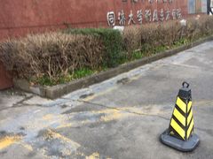 -上海市东方医院(总院)