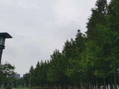 -桃花岛公园
