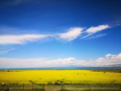 -青海湖国家重点风景名胜区
