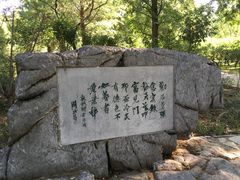 -红楼梦邮局