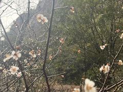 -雁荡山风景名胜区