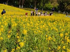 -长白岛森林公园