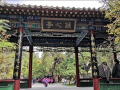 -黄帝陵