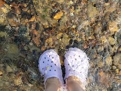-白河湾生态旅游一条川