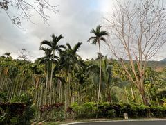-七仙岭君澜度假酒店