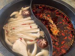 -销魂美蛙鱼头火锅(上海首店)