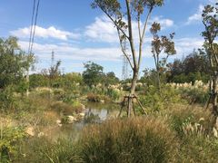 -上海长兴岛郊野公园