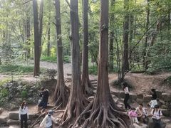 -西湖游船