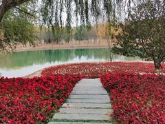 -永定河休闲森林公园