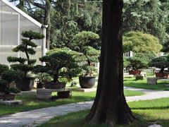 -西郊宾馆·1921餐厅