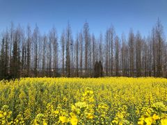 -樱桃山旅游景区