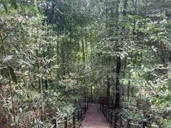 -武吉知马自然保护区