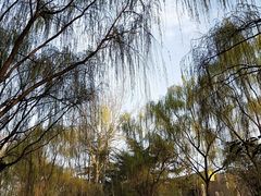 -西安市长乐公园