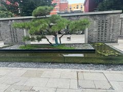 -庐灶江南·江南菜·四合院Bistro(东直门雍和宫·原华侨宾馆店)