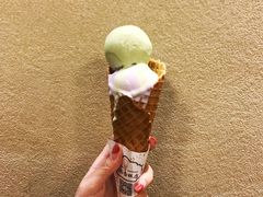-成裕雪糕店(士多店)