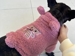 -怪兽屋·羊驼·猫咖·狗咖(俊华广场店)