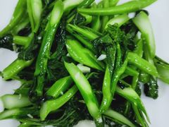 -锦粤宫·精致粤菜(深圳北站店)
