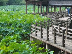 -龙头寺公园