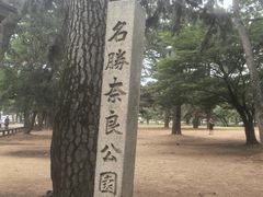 -奈良公园