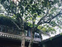 -溪口-滕头旅游景区