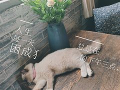 -老屋咖啡