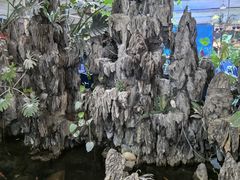 -竹山里(锁石路店)