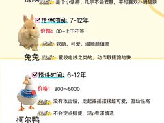 -翊宠yipet猫狗购宠庄园犬舍•猫舍