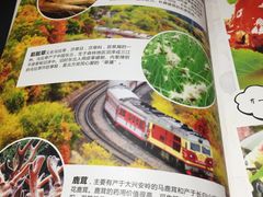 -东北人家铁锅炖(鞍山路店)