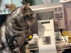 -平行世界·猫咖(首经贸店)