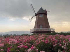 -君乐宝优致牧场
