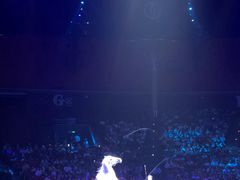 -珠海横琴长隆《卡卡虎奇遇记》