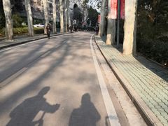 -武汉大学-樱园