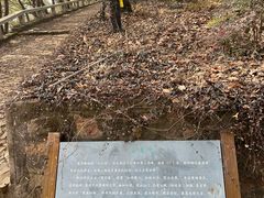 -东山风景区(洞庭东山)