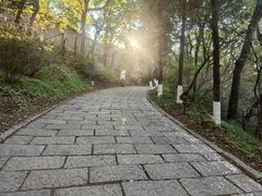 -高尔山公园