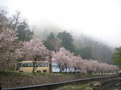 -藏龙百瀑风景区
