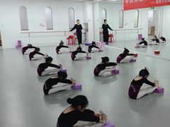 -西安小天鹅艺术团(金花路校区)