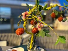 -故里和山·成都火锅(欢乐港湾店)