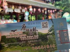 -西双版纳原始森林公园