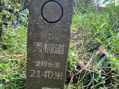 -梧桐山风景名胜区