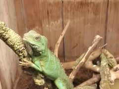 -上海大自然野生昆虫馆(东方明珠·爬宠昆虫探索中心)