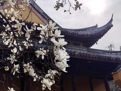 -龙华寺