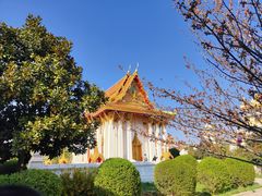 -洛阳白马寺