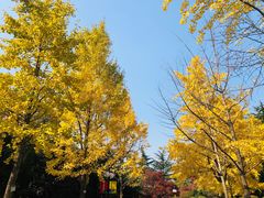 -曲阳公园篮球场·梦巨体育(虹口店)
