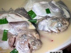家烧鲳鱼-健眺小海鲜(临海后山店)