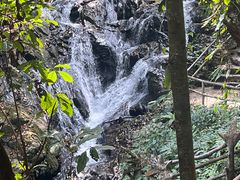 -莫里热带雨林景区