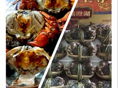 -江杨农产品批发市场